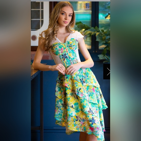 Corset Story Dresses & Skirts - Corset Story Tropical Print Mesh Panel Corset Dress, BNWT, Size 24 (waist 27-28)